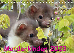 Kalender Marderkinder (Tischkalender 2023 DIN A5 quer) von Nixe