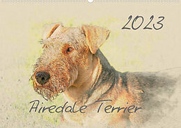 Kalender Airedale Terrier 2023 (Wandkalender 2023 DIN A2 quer) von Andrea Redecker