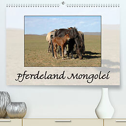 Kalender Pferdeland Mongolei (Premium, hochwertiger DIN A2 Wandkalender 2023, Kunstdruck in Hochglanz) von AJ Beuck