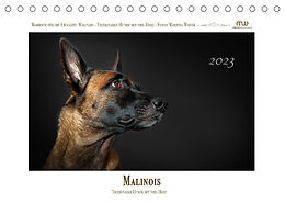 Kalender Malinois - Triebstarke Hunde mit viel Herz (Tischkalender 2023 DIN A5 quer) von Martina Wrede