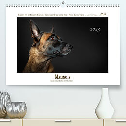 Kalender Malinois - Triebstarke Hunde mit viel Herz (Premium, hochwertiger DIN A2 Wandkalender 2023, Kunstdruck in Hochglanz) von Martina Wrede
