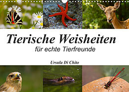 Kalender Tierische Weisheiten (Wandkalender 2023 DIN A3 quer) von Ursula Di Chito
