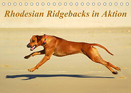 Kalender Rhodesian Ridgebacks in AktionAT-Version (Tischkalender 2023 DIN A5 quer) von Anke van Wyk - www.germanpix.net