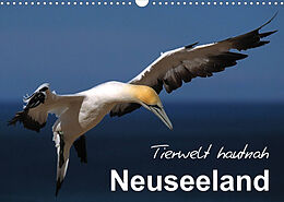 Kalender Neuseeland - Tierwelt hautnah (Wandkalender 2023 DIN A3 quer) von Ferry BÖHME