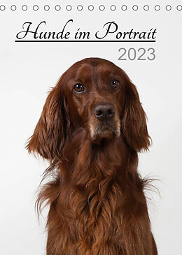 Kalender Hunde im Portrait (Tischkalender 2023 DIN A5 hoch) von Heidi Bollich