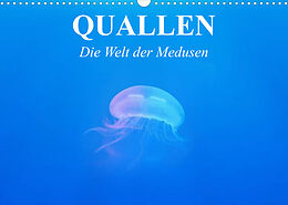 Kalender Quallen. Die Welt der Medusen (Wandkalender 2023 DIN A3 quer) von Elisabeth Stanzer