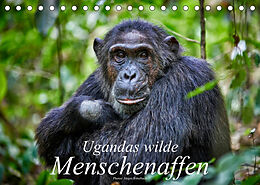 Kalender Ugandas wilde Menschenaffen (Tischkalender 2023 DIN A5 quer) von Jürgen Ritterbach