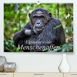 Kalender Ugandas wilde Menschenaffen (Premium, hochwertiger DIN A2 Wandkalender 2023, Kunstdruck in Hochglanz) von Jürgen Ritterbach
