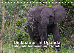 Kalender Dickhäuter in Uganda - Flußpferde, Nashörner und Elefanten (Tischkalender 2023 DIN A5 quer) von Dr. Helmut Gulbins