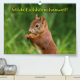 Kalender Wilde Eichhörnchenwelt! (Premium, hochwertiger DIN A2 Wandkalender 2023, Kunstdruck in Hochglanz) von Birte Alber und Carsten Cording