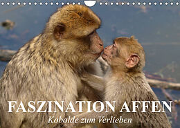 Kalender Faszination Affen. Kobolde zum Verlieben (Wandkalender 2023 DIN A4 quer) von Elisabeth Stanzer