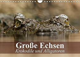 Kalender Große Echsen. Krokodile und Alligatoren (Wandkalender 2023 DIN A4 quer) von Elisabeth Stanzer