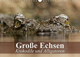 Kalender Große Echsen. Krokodile und Alligatoren (Wandkalender 2023 DIN A3 quer) von Elisabeth Stanzer