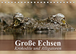 Kalender Große Echsen. Krokodile und Alligatoren (Tischkalender 2023 DIN A5 quer) von Elisabeth Stanzer