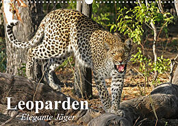 Kalender Leoparden. Elegante Jäger (Wandkalender 2023 DIN A3 quer) von Elisabeth Stanzer