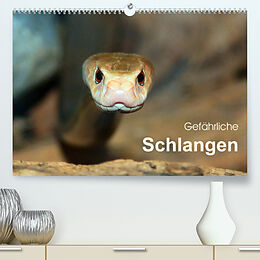 Kalender Gefährliche Schlangen (Premium, hochwertiger DIN A2 Wandkalender 2023, Kunstdruck in Hochglanz) von Michael Herzog