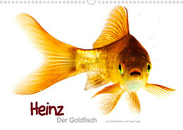 Kalender Heinz  Der Goldfisch (Wandkalender 2023 DIN A3 quer) von Ralf Wehrle &amp; Uwe Frank www.blackwhite.de