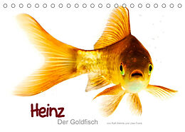 Kalender Heinz  Der Goldfisch (Tischkalender 2023 DIN A5 quer) von Ralf Wehrle &amp; Uwe Frank www.blackwhite.de