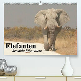 Kalender Elefanten. Sensible Rüsseltiere (Premium, hochwertiger DIN A2 Wandkalender 2023, Kunstdruck in Hochglanz) von Elisabeth Stanzer