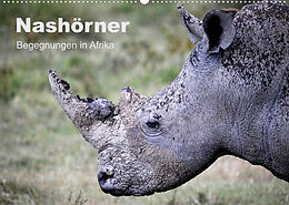 Kalender Nashörner - Begegnungen in Afrika (Wandkalender 2023 DIN A2 quer) von Michael Herzog