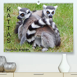 Kalender Kattas hautnah erleben (Premium, hochwertiger DIN A2 Wandkalender 2023, Kunstdruck in Hochglanz) von T. Kneer