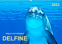 Kalender Delfine - elegant und intelligent (Wandkalender 2023 DIN A2 quer) von Peter Roder