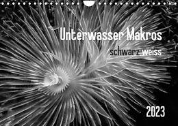 Kalender Unterwasser Makros - schwarz weiss 2023 (Wandkalender 2023 DIN A4 quer) von Claudia Weber-Gebert