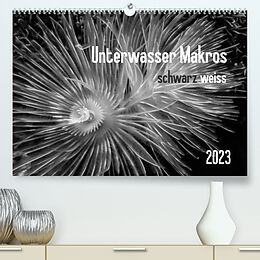 Kalender Unterwasser Makros - schwarz weiss 2023 (Premium, hochwertiger DIN A2 Wandkalender 2023, Kunstdruck in Hochglanz) von Claudia Weber-Gebert