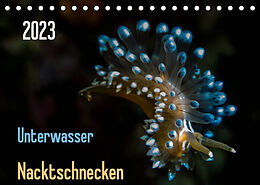 Kalender Unterwasser - Nacktschnecken 2023 (Tischkalender 2023 DIN A5 quer) von Claudia Weber-Gebert