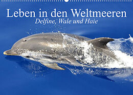 Kalender Leben in den Weltmeeren. Delfine, Wale und Haie (Wandkalender 2023 DIN A2 quer) von Elisabeth Stanzer