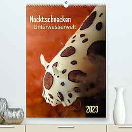 Kalender Nacktschnecken - Unterwasserwelt 2023 (Premium, hochwertiger DIN A2 Wandkalender 2023, Kunstdruck in Hochglanz) von Claudia Weber-Gebert