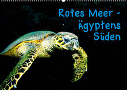 Kalender Rotes Meer - Ägyptens Süden (Wandkalender 2023 DIN A2 quer) von Christian Suttrop