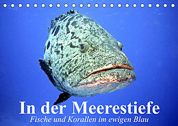 Kalender In der Meerestiefe. Fische und Korallen im ewigen Blau (Tischkalender 2023 DIN A5 quer) von Elisabeth Stanzer