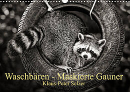 Kalender Waschbären - Maskierte Gauner (Wandkalender 2023 DIN A3 quer) von Klaus-Peter Selzer