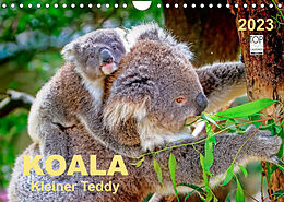Kalender Koala - kleiner Teddy (Wandkalender 2023 DIN A4 quer) von Peter Roder