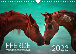Kalender Pferde - Magdalena Strakova (Wandkalender 2023 DIN A4 quer) von Magdalena Strakova