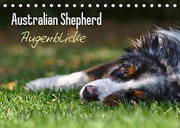 Kalender Australian Shepherd - Augenblicke (Tischkalender 2023 DIN A5 quer) von David Andrey