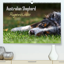 Kalender Australian Shepherd - Augenblicke (Premium, hochwertiger DIN A2 Wandkalender 2023, Kunstdruck in Hochglanz) von David Andrey