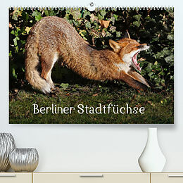 Kalender Berliner Stadtfüchse (Premium, hochwertiger DIN A2 Wandkalender 2023, Kunstdruck in Hochglanz) von Klaus Konieczka