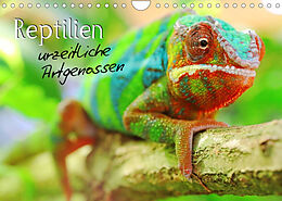 Kalender Reptilien urzeitliche Artgenossen (Wandkalender 2023 DIN A4 quer) von Stefan Mosert