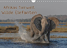 Kalender Afrikas Tierwelt - Wilde Elefanten (Wandkalender 2023 DIN A4 quer) von Michael Voß