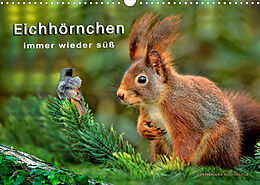 Kalender Eichhörnchen - immer wieder süß (Wandkalender 2023 DIN A3 quer) von Peter Roder