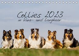 Kalender Collies 2023 in Kurz- und Langhaar (Tischkalender 2023 DIN A5 quer) von Christine Hemlep