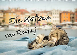 Kalender Die Katzen von Rovinj (Wandkalender 2023 DIN A2 quer) von Viktor Gross