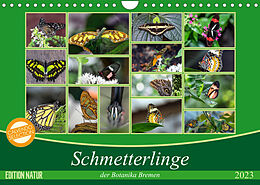 Kalender Schmetterlinge der Botanika Bremen (Wandkalender 2023 DIN A4 quer) von Burkhard Körner