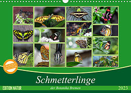 Kalender Schmetterlinge der Botanika Bremen (Wandkalender 2023 DIN A3 quer) von Burkhard Körner