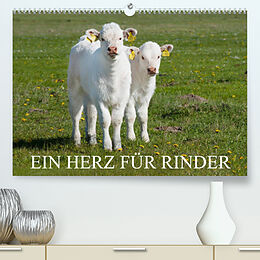 Kalender Ein Herz für Rinder (Premium, hochwertiger DIN A2 Wandkalender 2023, Kunstdruck in Hochglanz) von Sigrid Starick