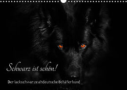 Kalender Schwarz ist schön! Der lackschwarze altdeutsche Schäferhund (Wandkalender 2023 DIN A3 quer) von Rena Werz