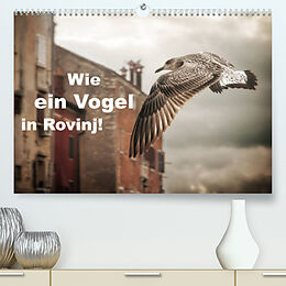 Kalender Wie ein Vogel in Rovinj! (Premium, hochwertiger DIN A2 Wandkalender 2023, Kunstdruck in Hochglanz) von Viktor Gross