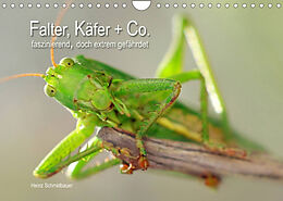 Kalender Falter, Käfer und Co.faszinierend, doch extrem gefährdet (Wandkalender 2023 DIN A4 quer) von Heinz Schmidbauer
